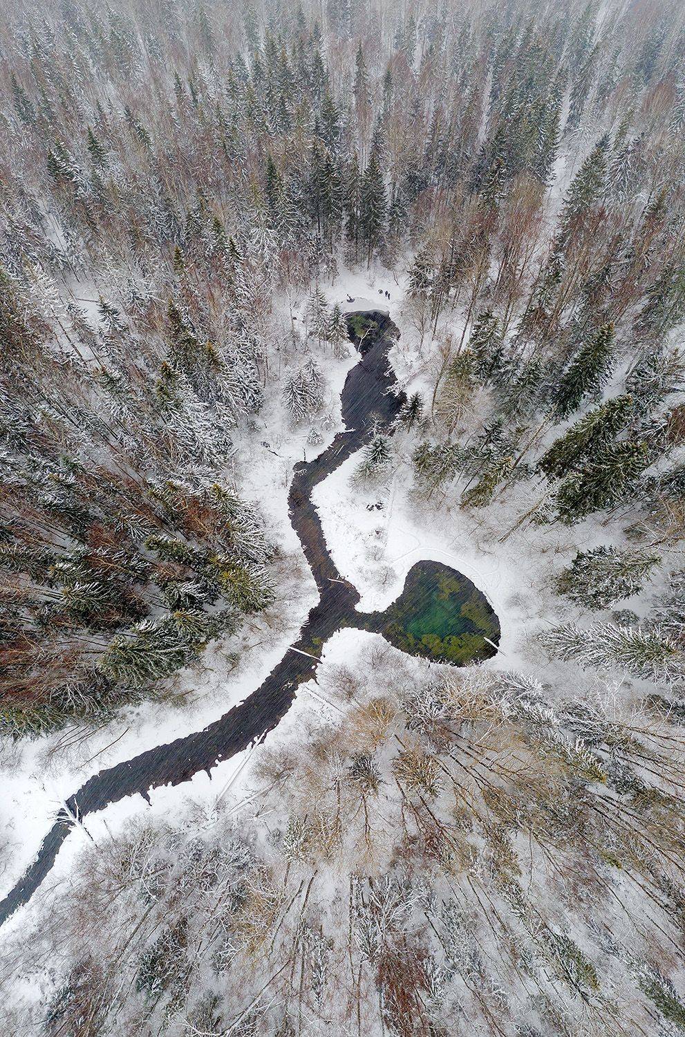 , Александр Абросимов