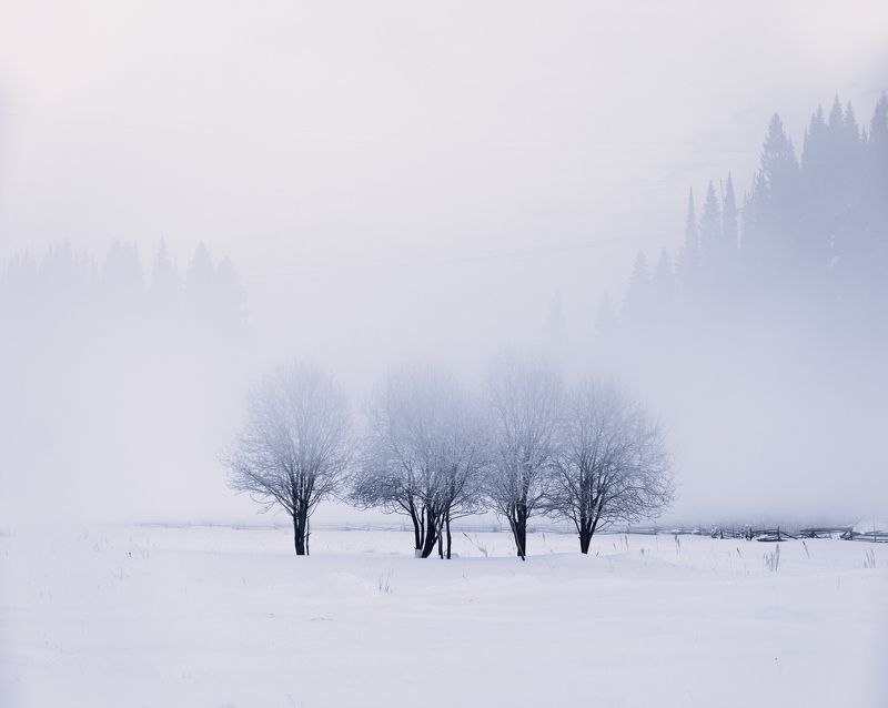 Зимний туман  фото превью