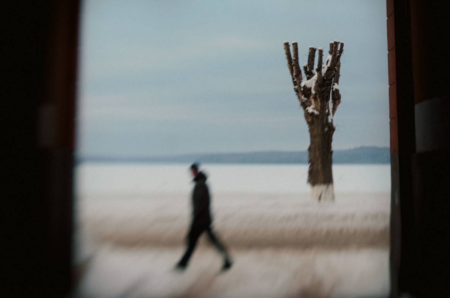 , Лариса Лофицкая