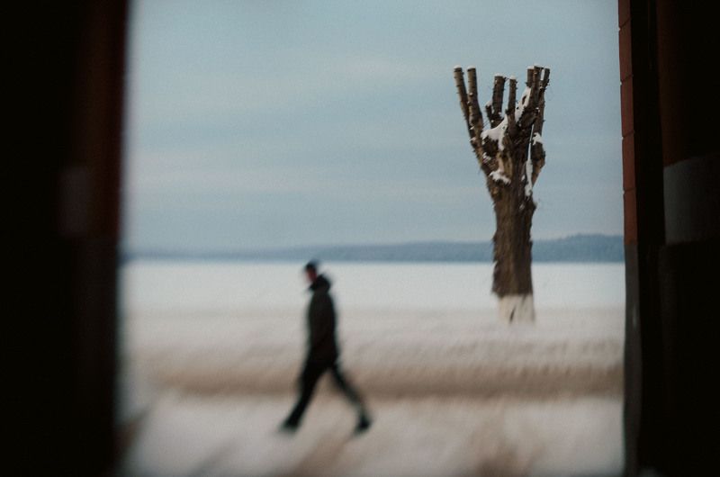 Дерево и человек фото превью