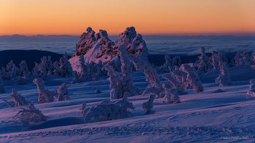 Pro первые лучи рассвета