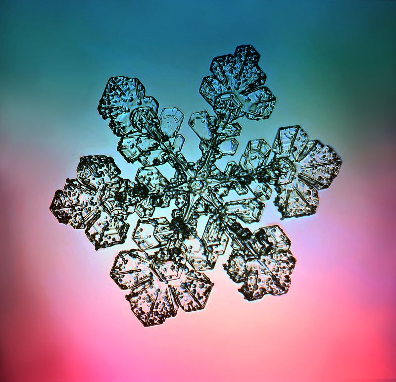 макро, снежинки, снег, макрофото, macro, snowflake, Снежинки в деталях фото превью