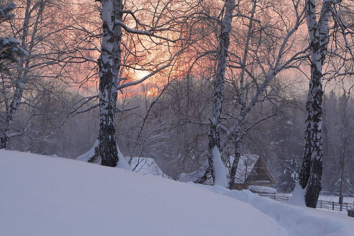 , Евгений Зинов