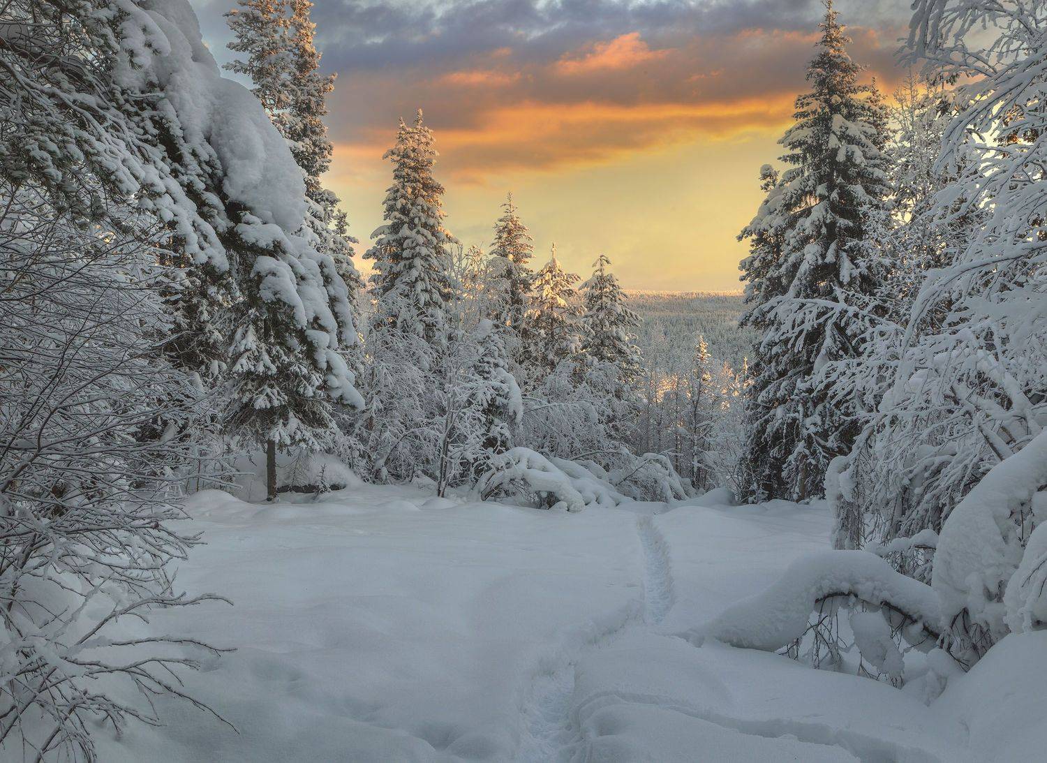 Фототуры с Владимиром Рябковым, #topnature #russpasibo #magic_shots #lovelyRussia #sunset_vision #exclusive_sky  #exclusive_shots #loves_russia2 #photoarena_nature #nature_sultans #nature_perfection #rsa_sky #rsa_sunset #photorussia #rsa_naturepics #sunse, Владимир Рябков