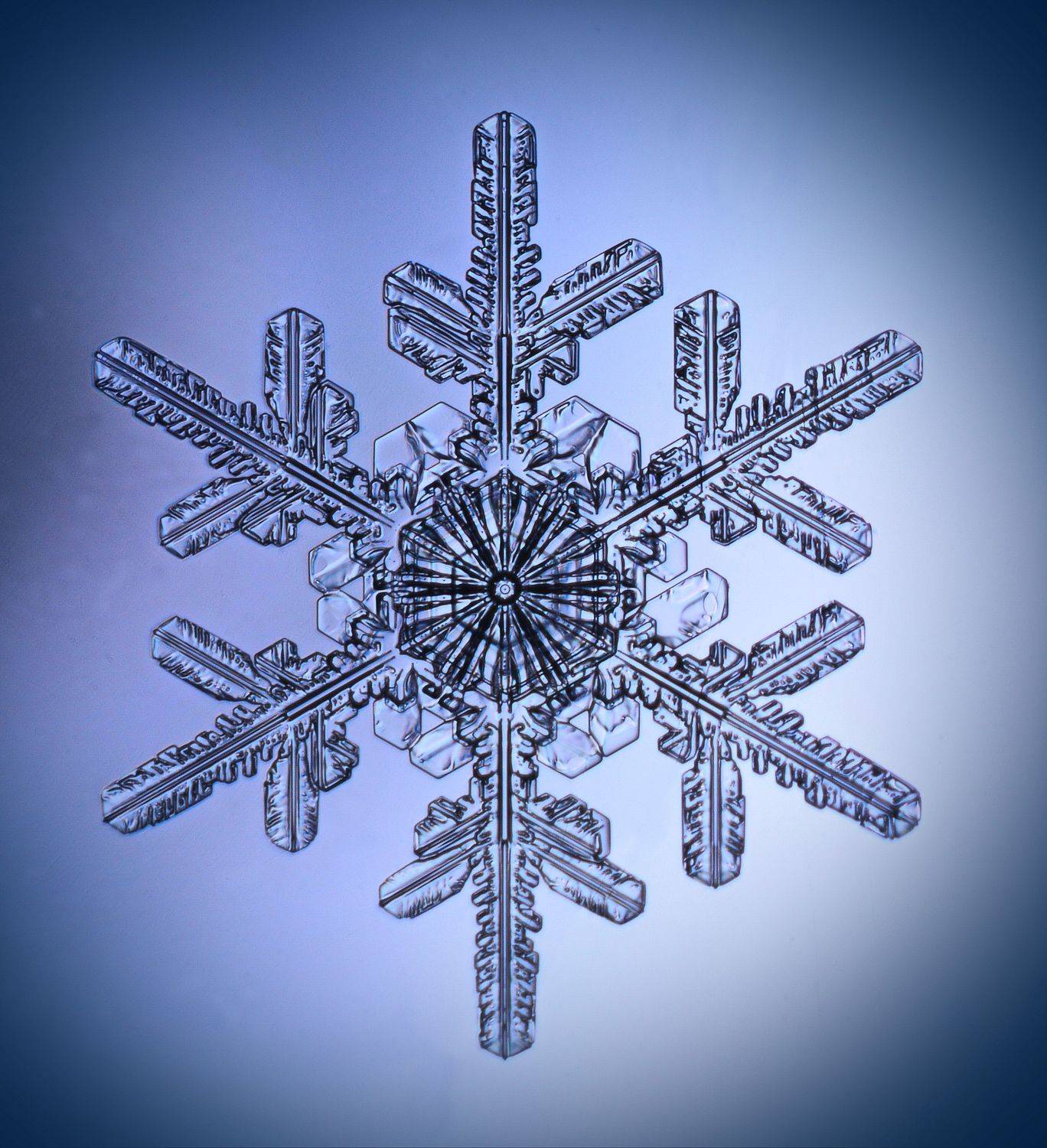 , Борис Риганов