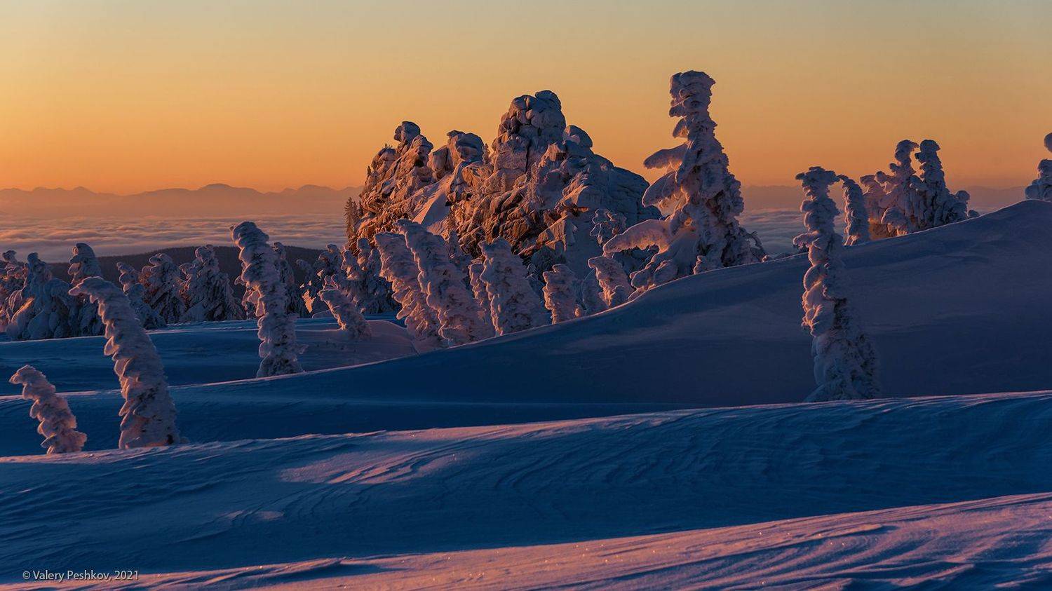 красочный, рассвет, пихты, снег, иней, сугробы, зима, гора курган, верблюды, шерегеш, горная шория, Валерий Пешков