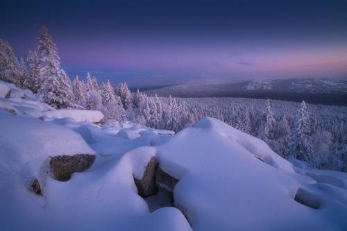 В предновогодние дни