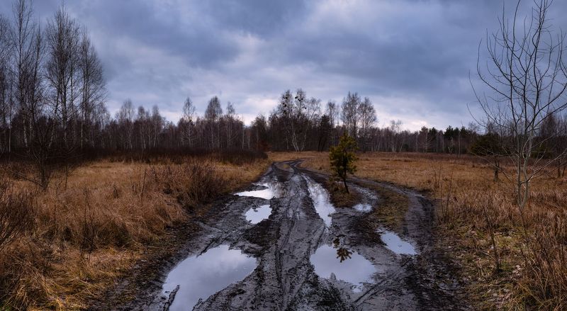 луг зима январь лужи сырость На бездорожье неба вдоль безмолвия фото превью