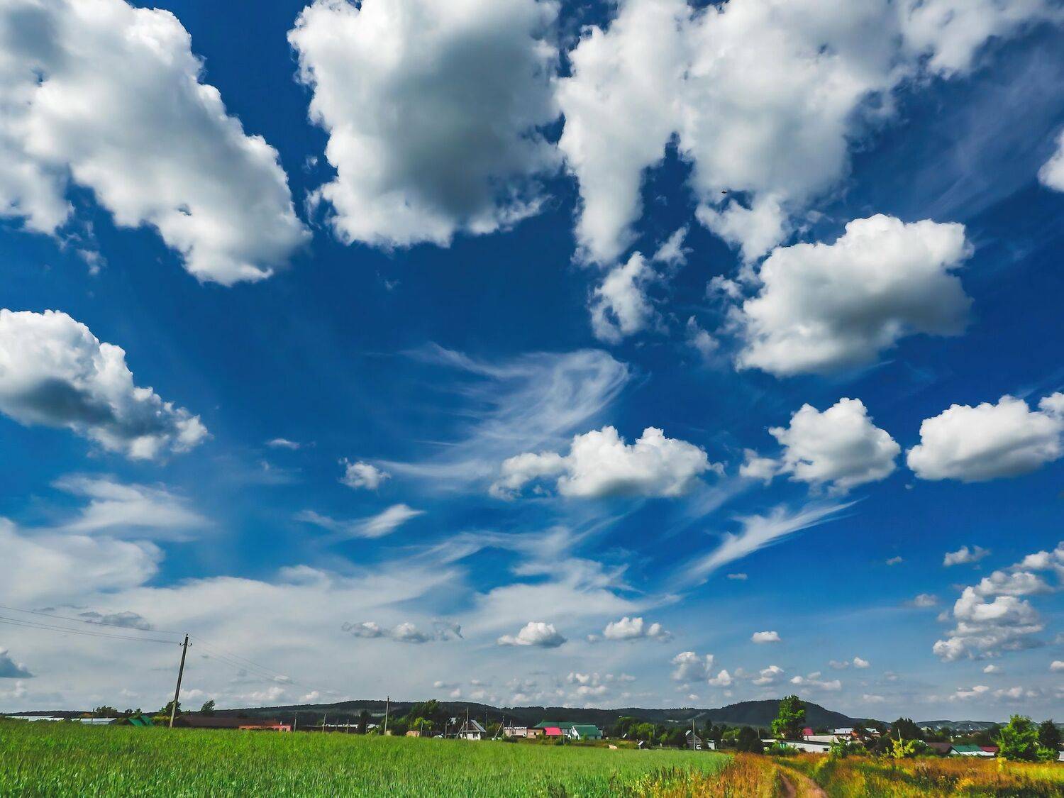 россия,пермь,пермский,край,усть-кишерть,село,кишертский,район,лето,июль,небо,облака,облачность,пейзаж,поле,луг,пшеница,холм,гора,путешествия,туризм,ясно,ясная,погода, Котов Андрей