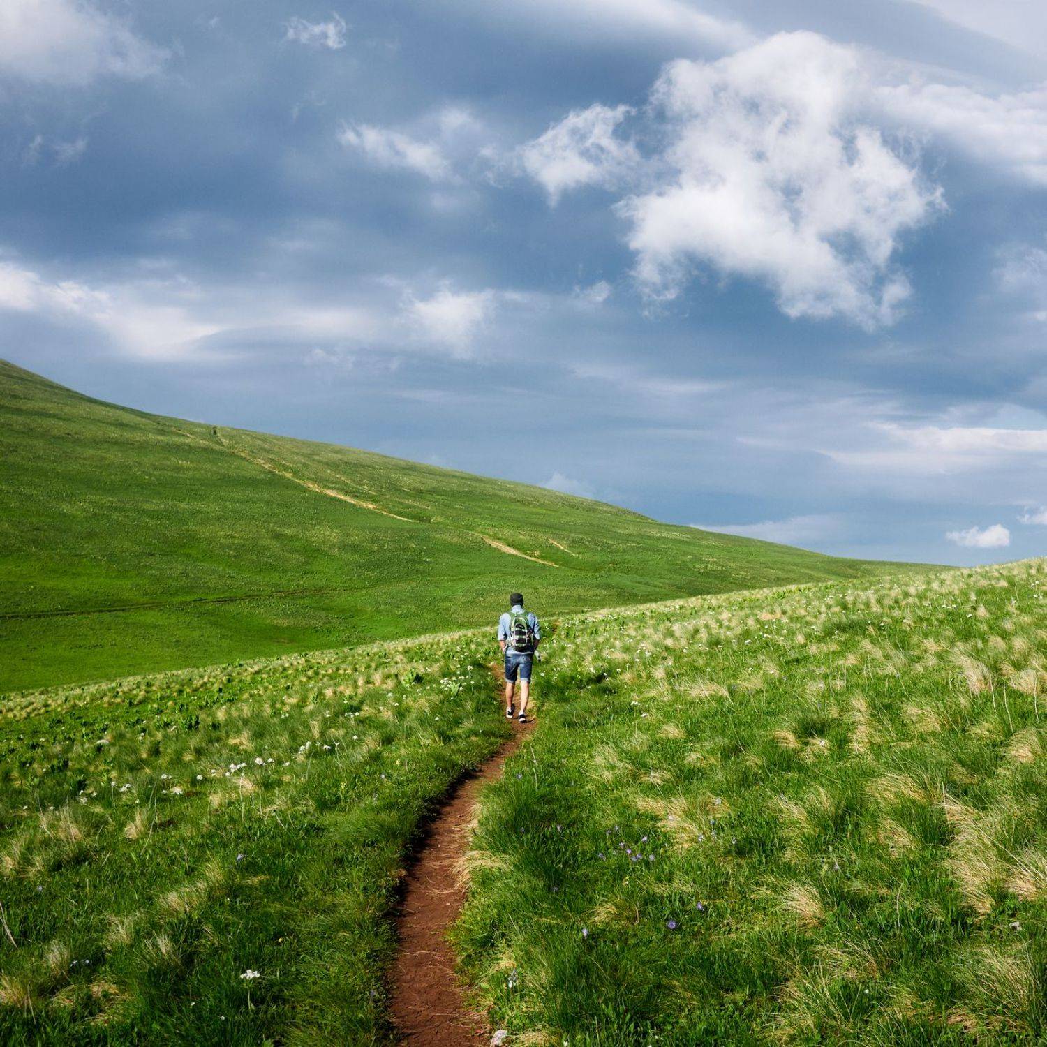 пейзаж, тропа, горы, облако, зелень, цветы, путешествия, landscape, trail, mountains, cloud, greenery, flowers, travel, Артём Харченко