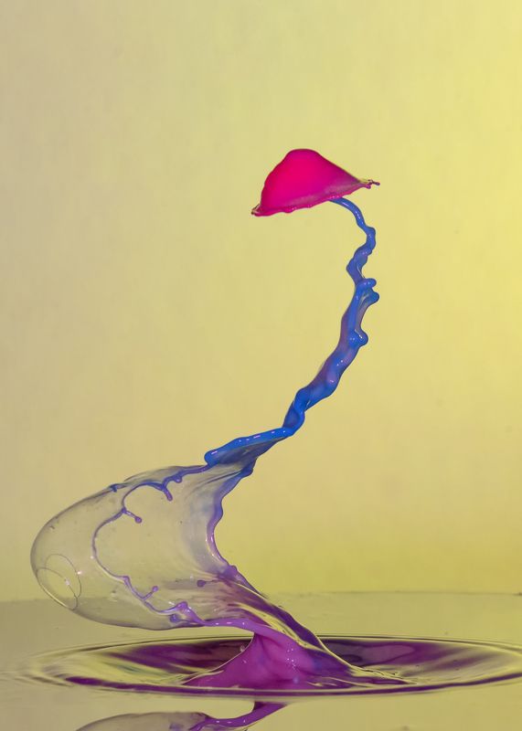 waterdrop,abstract,liquid,art,nft,liquidverse windy drops фото превью
