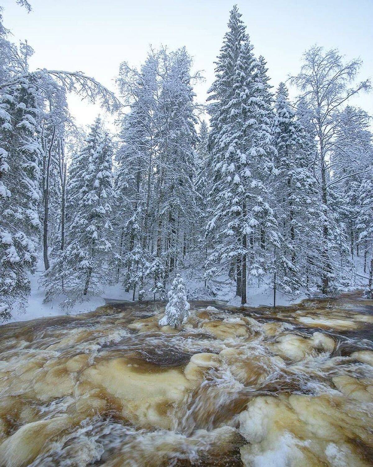 , Петр Косых