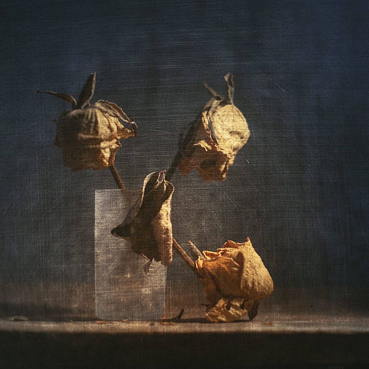 , Татьяна Аверина