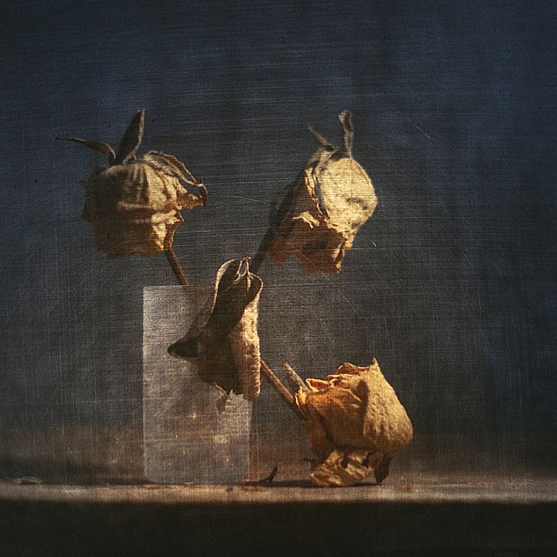 Застывшая память... фото превью