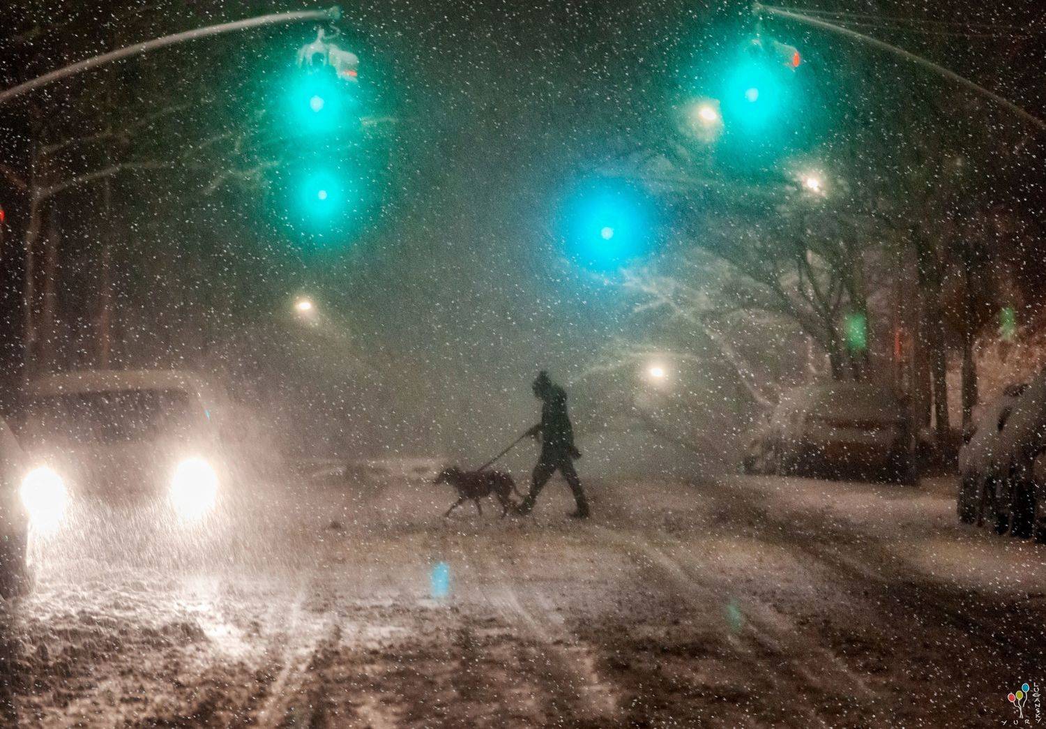 new york,, Yury Lugansky