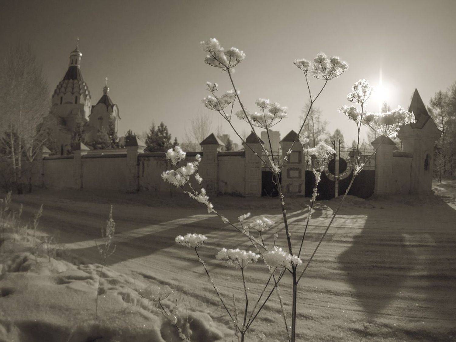 , Виктор Тришин