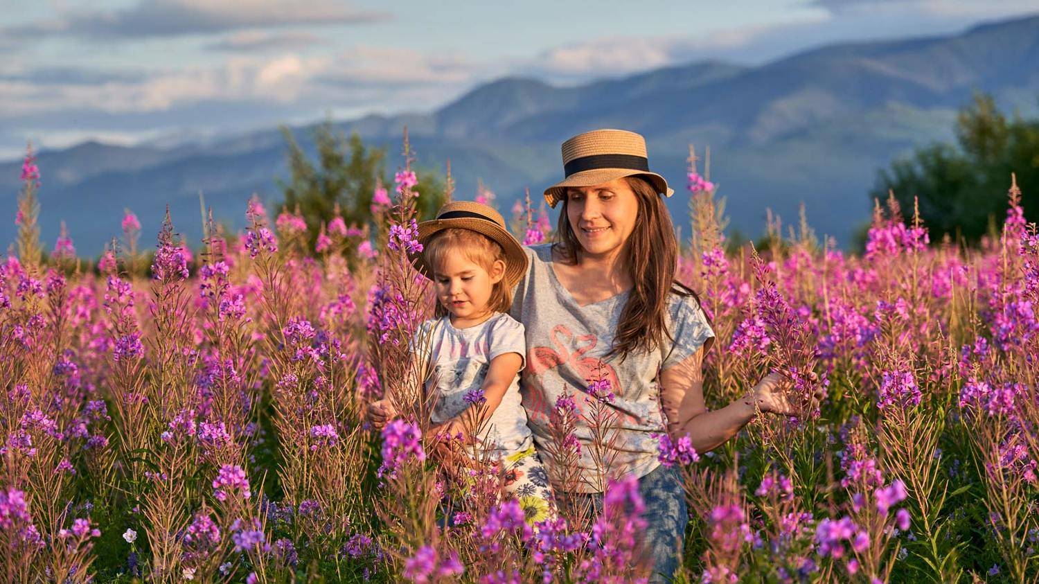 , Сергей Низовцев