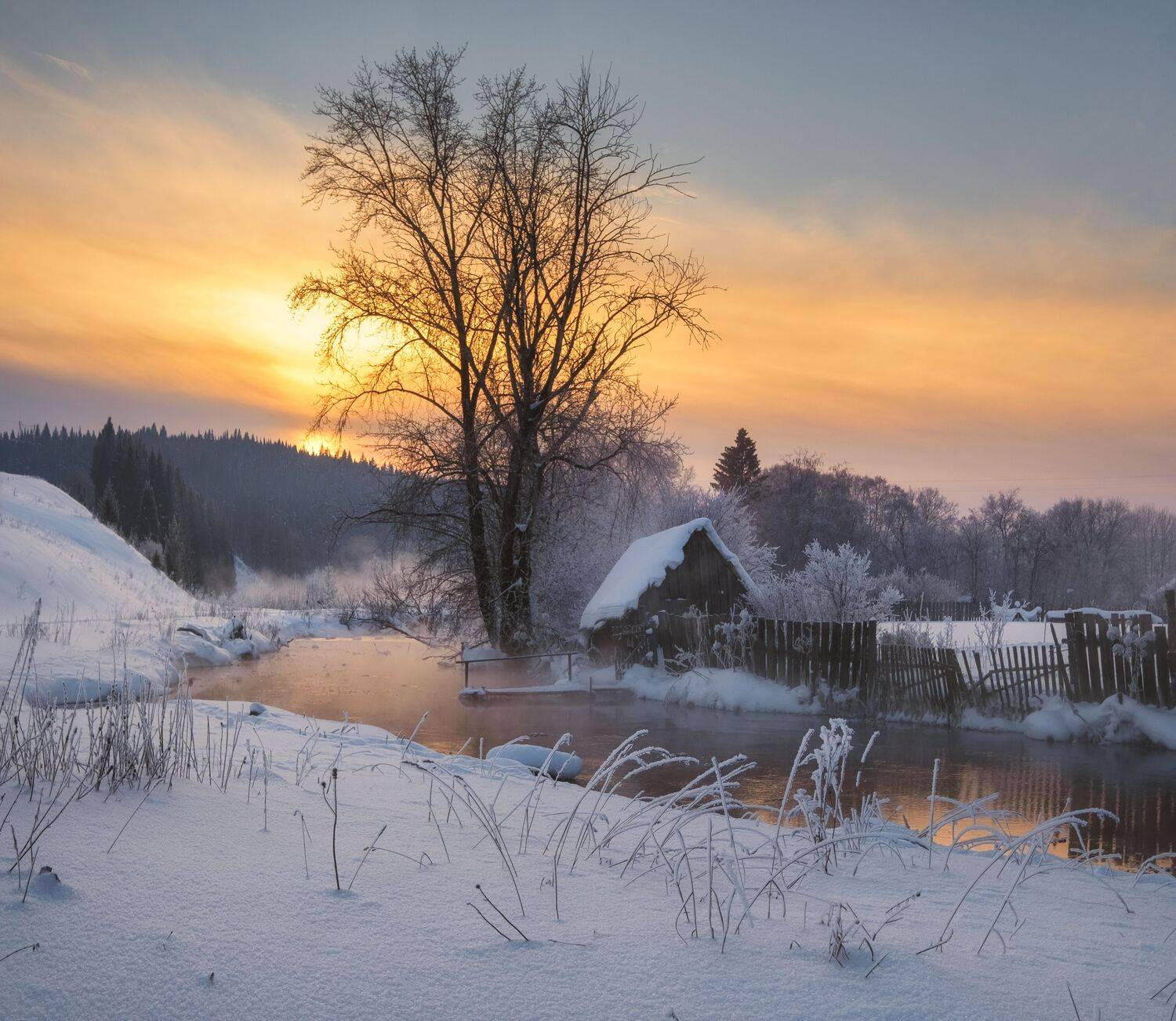 , Светлана Краюшкина