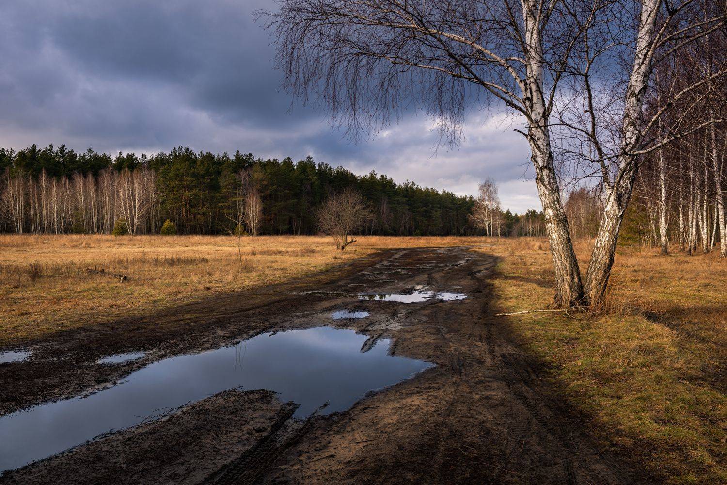 луг, зима, январь, лужи, , тучи, закат, Галанзовская Оксана