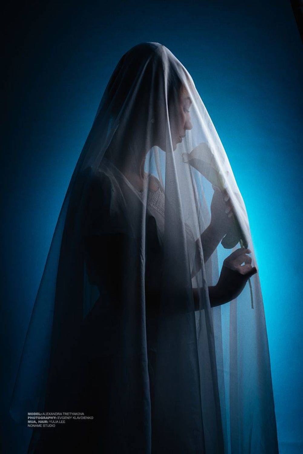 , Евгений Клавдиенко