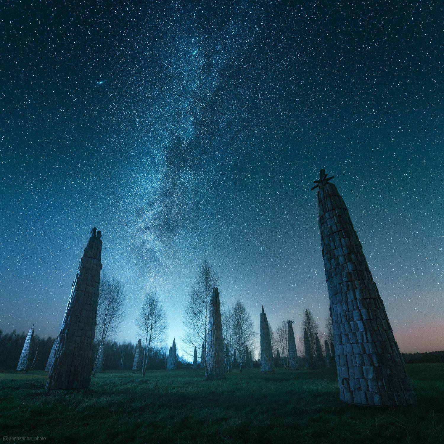 , Анна Политова