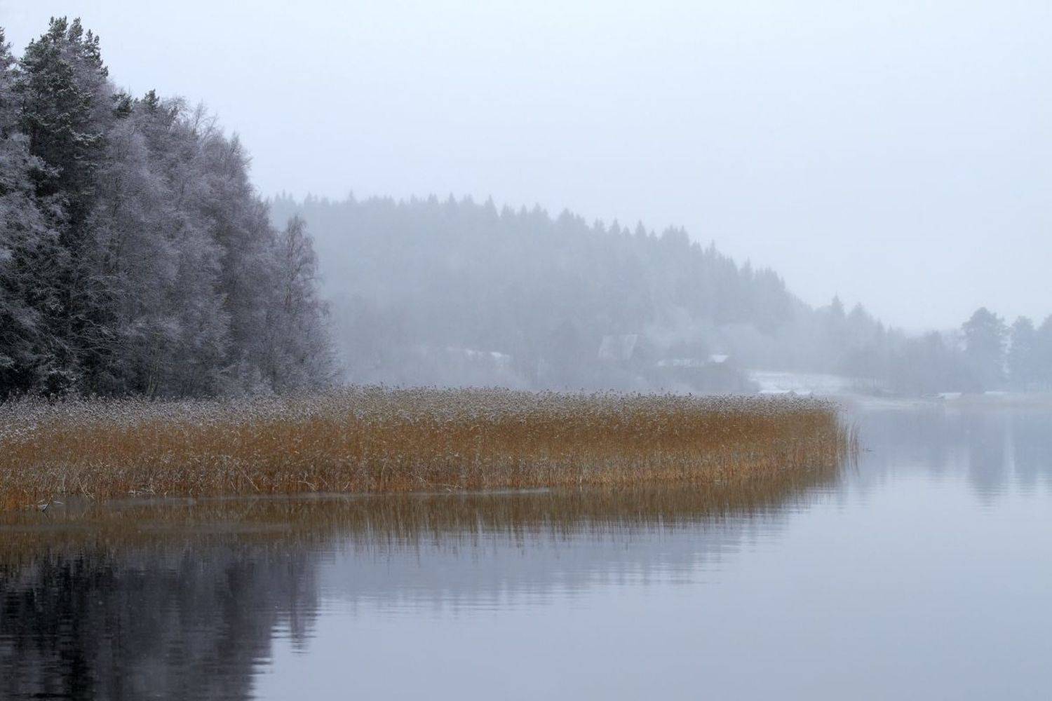 , Орлов Олег