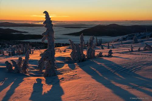 Рассветная