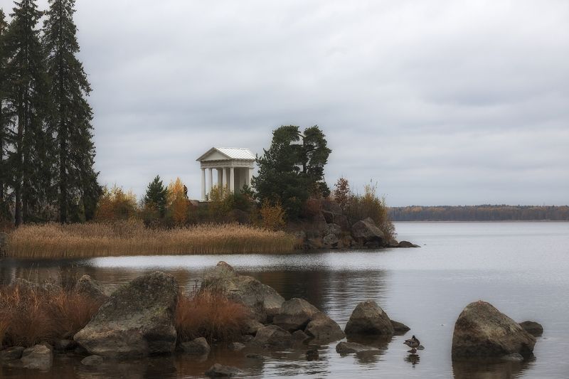 монрепо осень парк Осень в Монрепо. фото превью