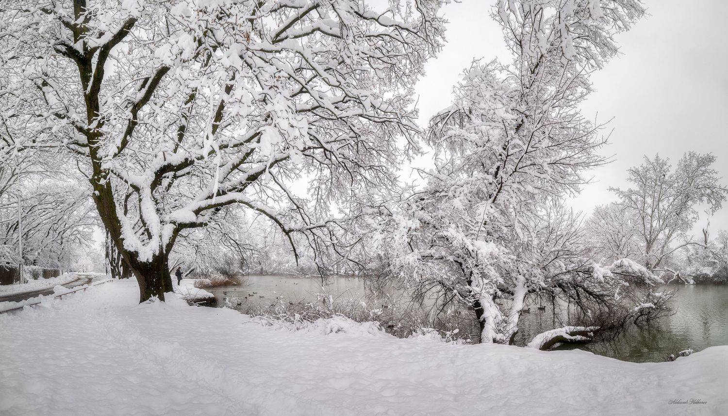 , Plekhanov Alexander