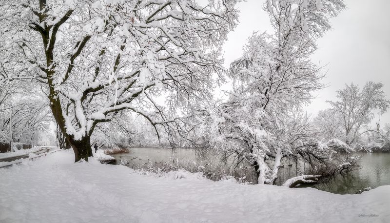 Зимние силуэты фото превью