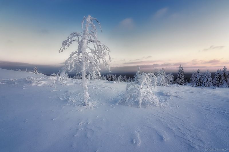 Канделябры фото превью