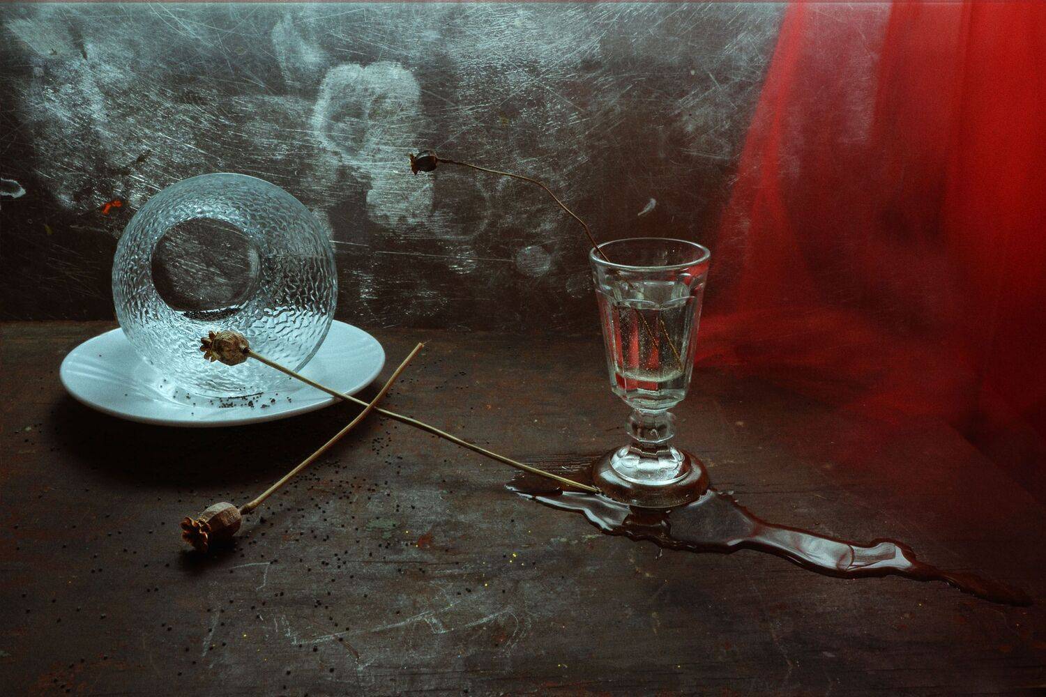 , Ирина Данилова