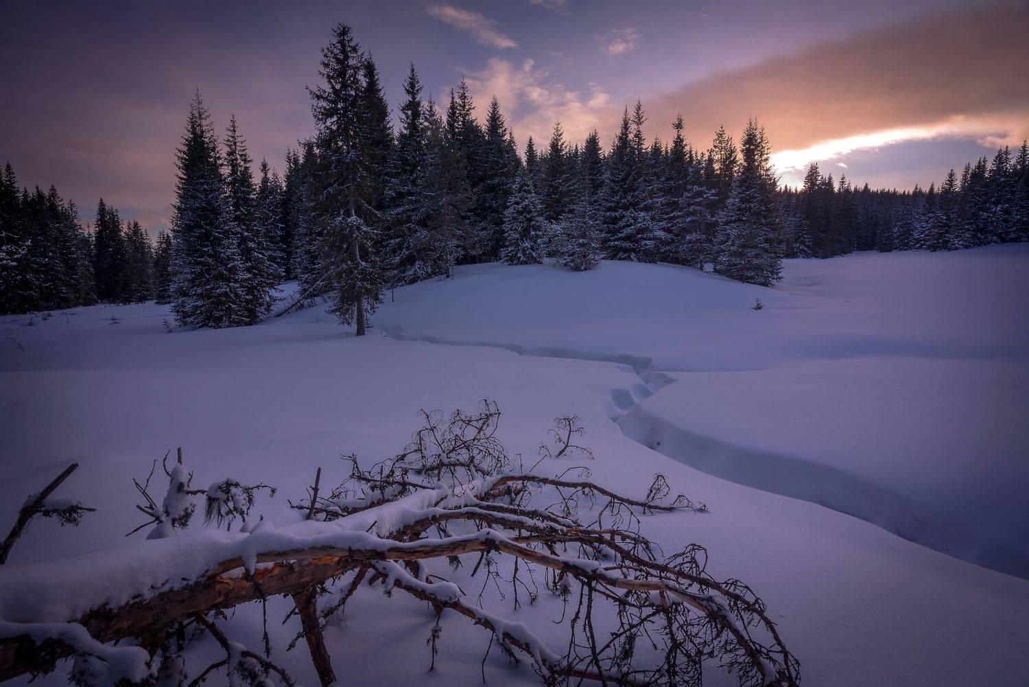 , Mariyana Atanasova - Lucero