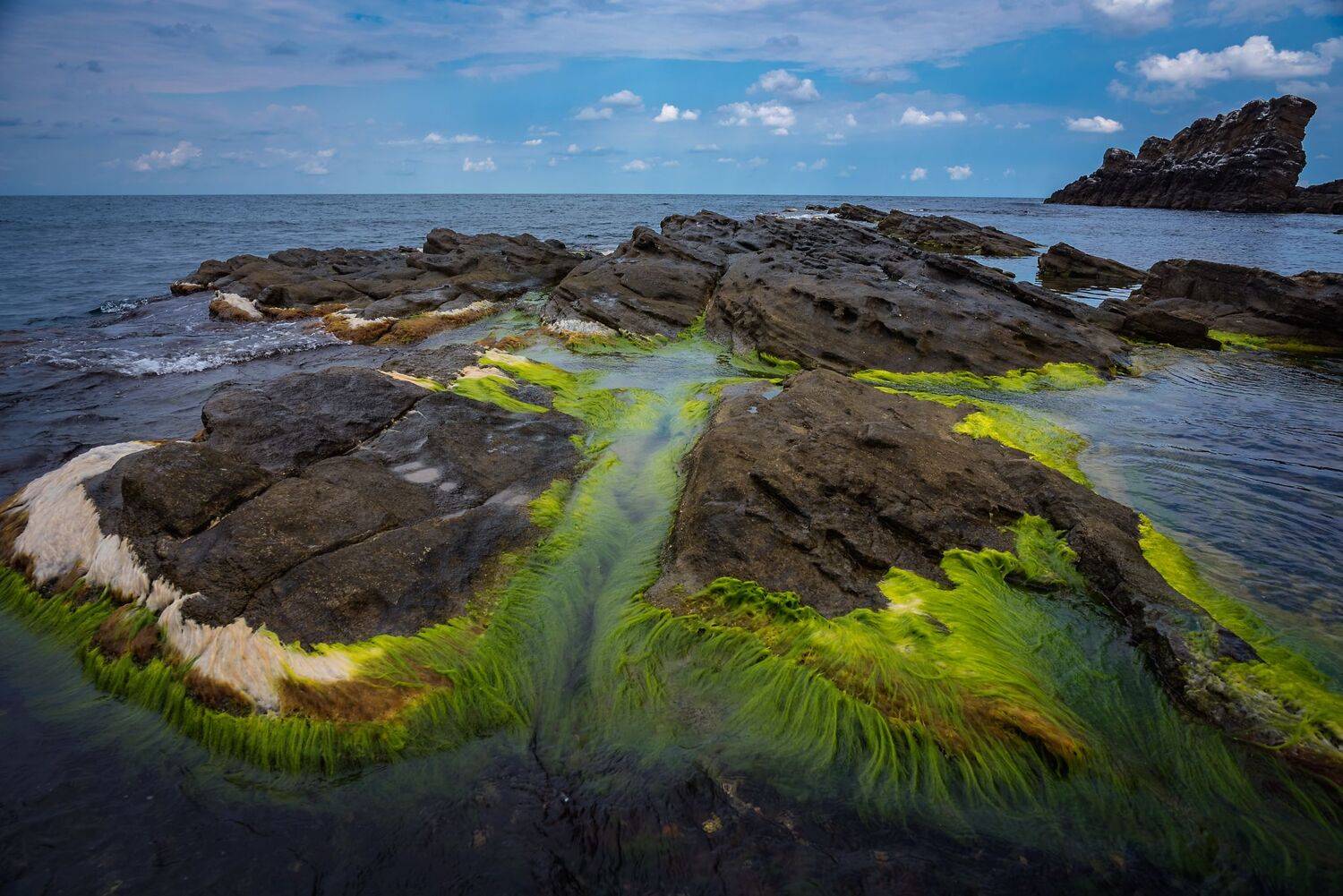 , Mariyana Atanasova - Lucero