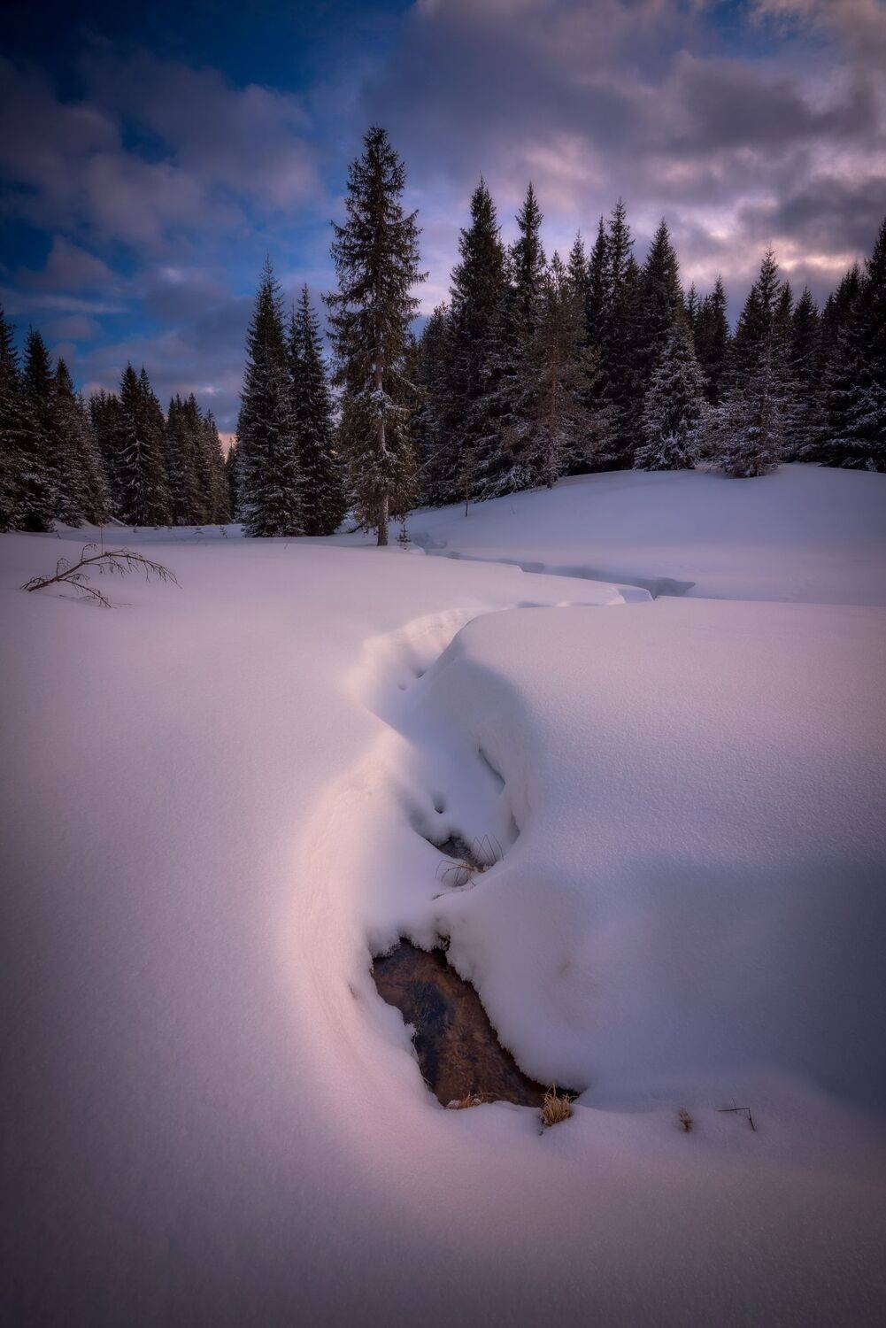 , Mariyana Atanasova - Lucero