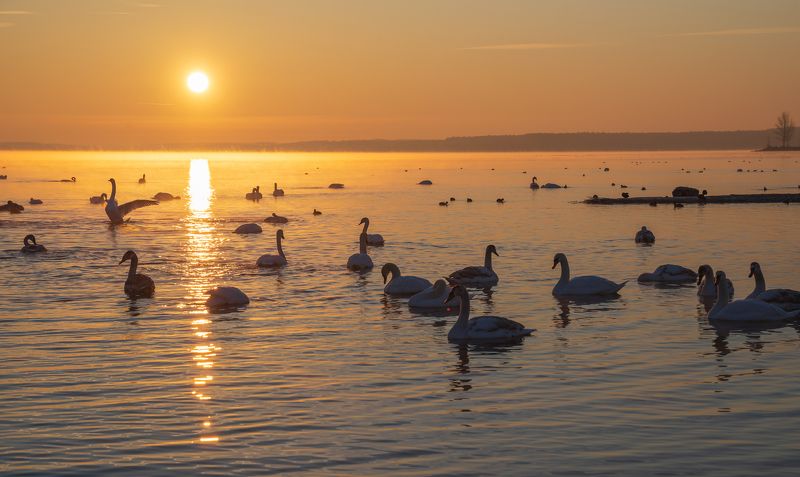 Нетишин.рассвет... фото превью