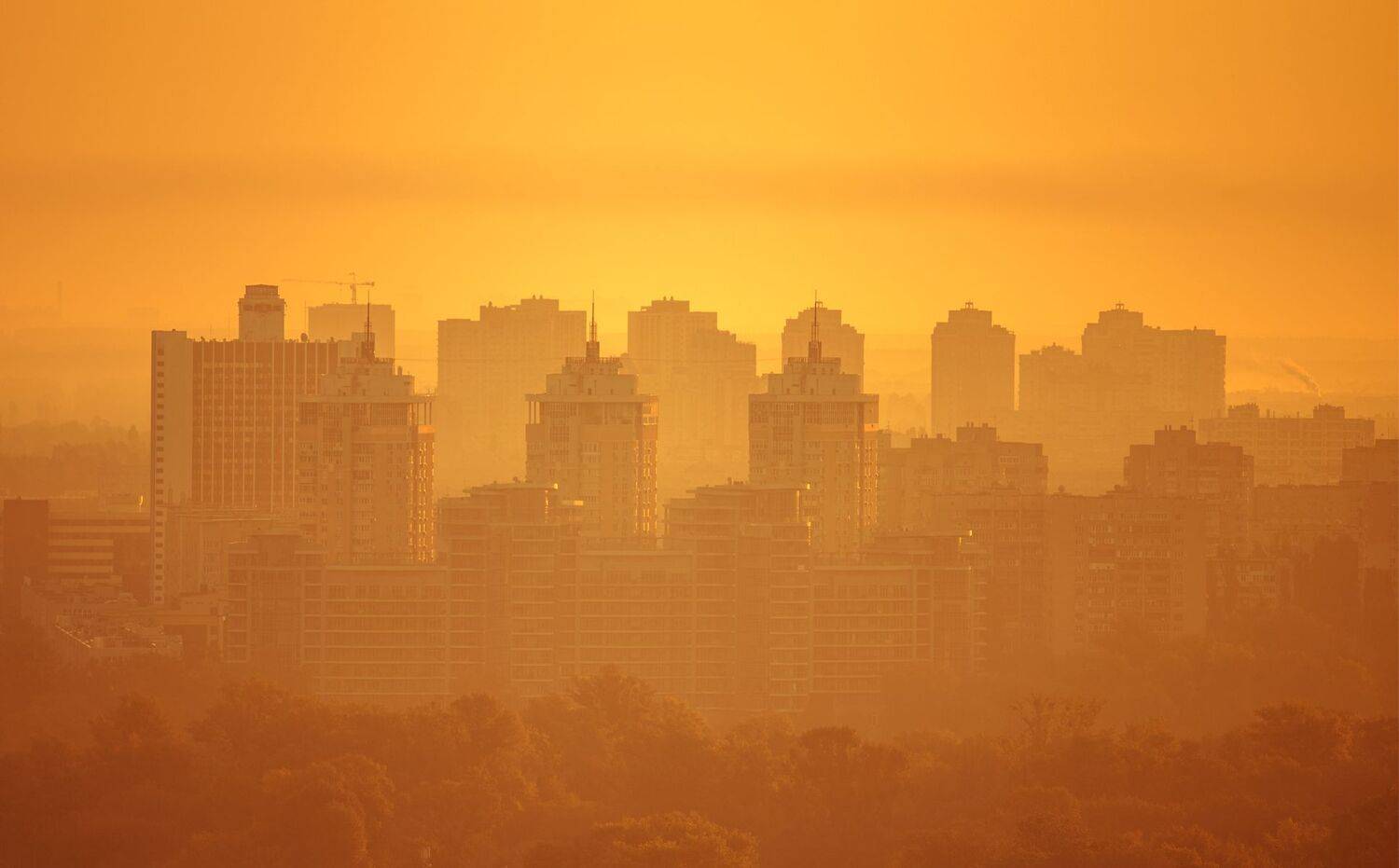 , Юрий Юрьев