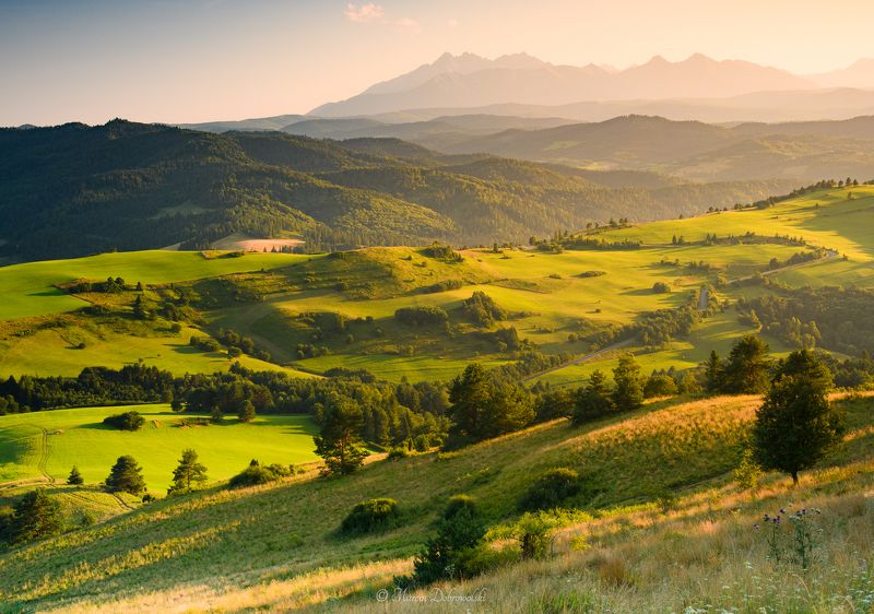 carpathians, golden hour, landscape, mountains, mountainscape, nature, nikon, outdoors, pieniny, poland, sky, sunrays, sunset, tamron, trees, tullusion, wysoki wierch, tatras, tatry Warning, High Altitudes Ahead фото превью
