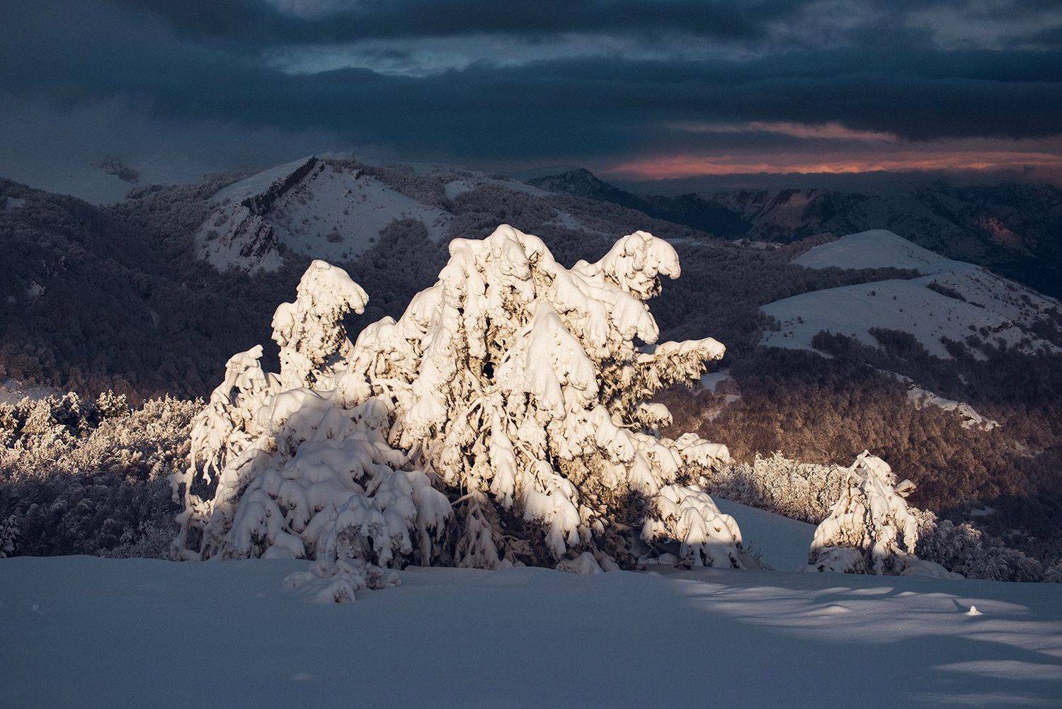 крым, Юрий Коваленко