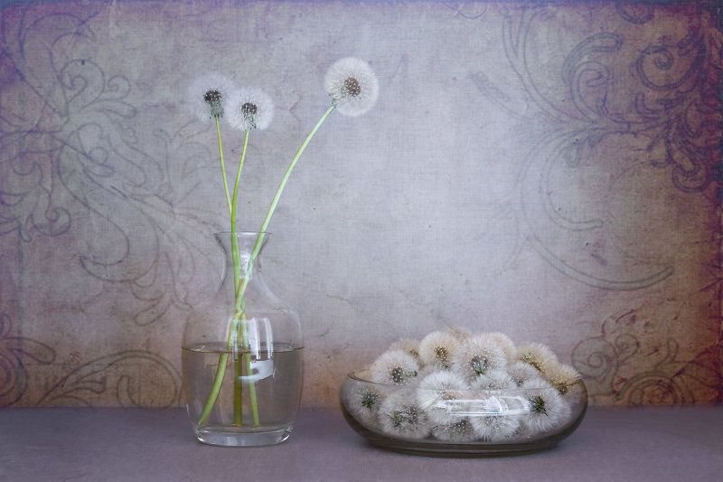 одуванчик Овалы фото превью