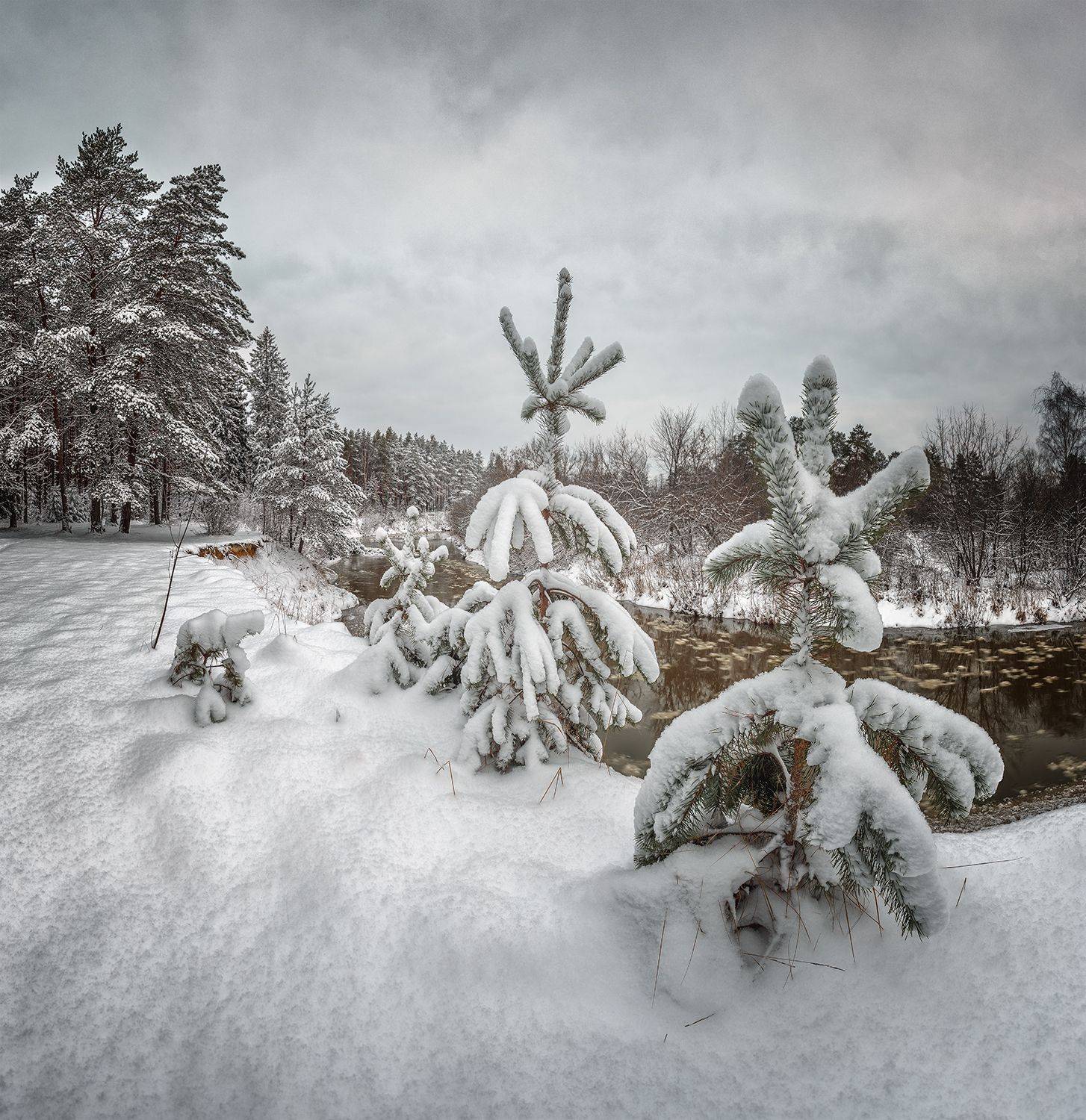 , Николай Андреев
