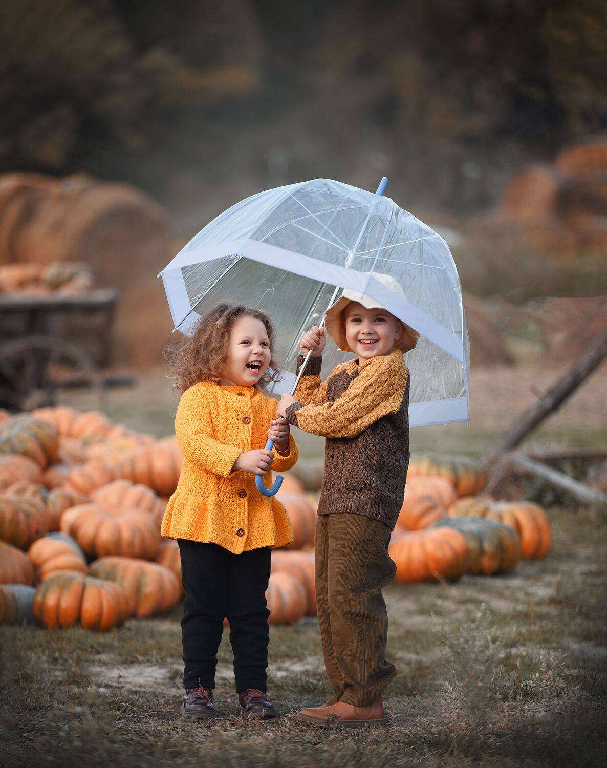 , Надежда Заручевская