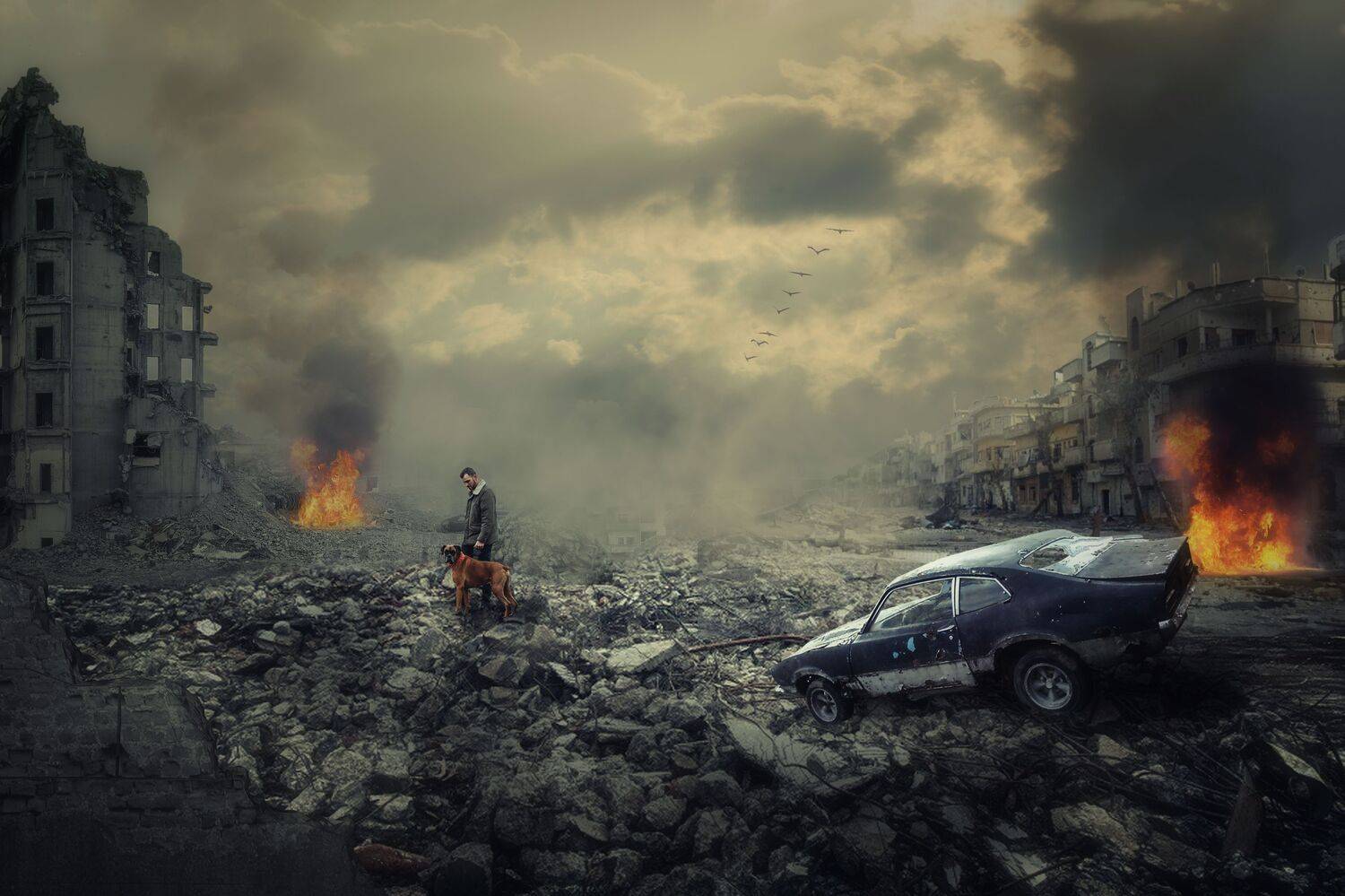 город, руины, мужчина, собака, Sergii Vidov