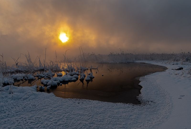 Из жизни кочек фото превью