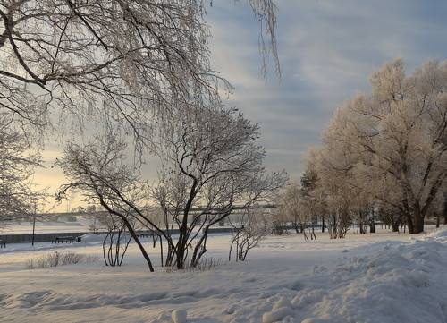 Прогулка в январе