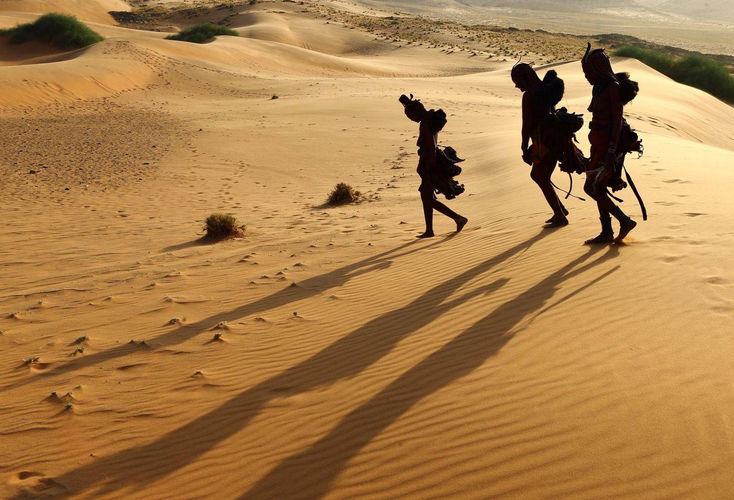 , Гудков Андрей