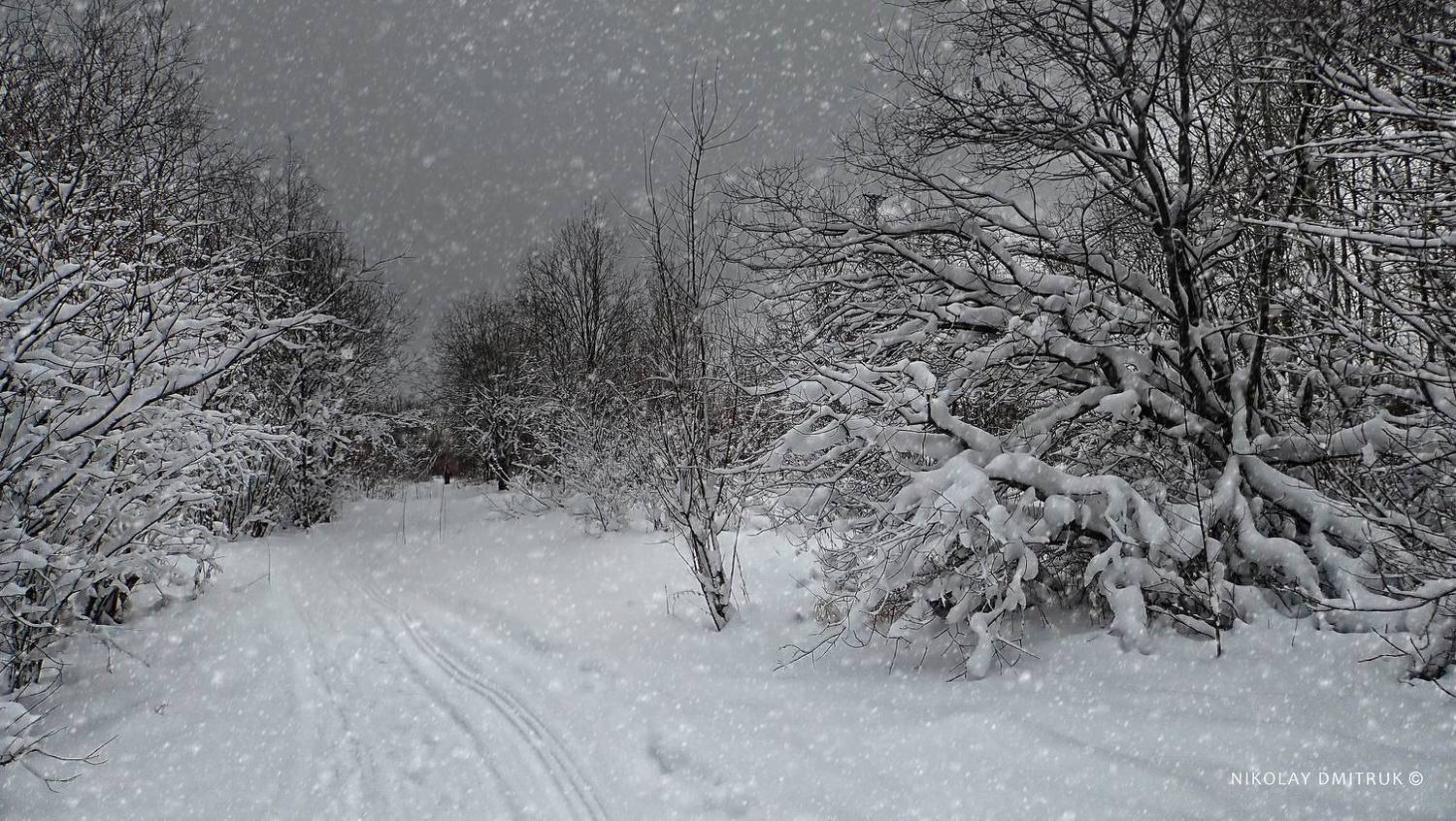 пейзаж, николай дмитрук