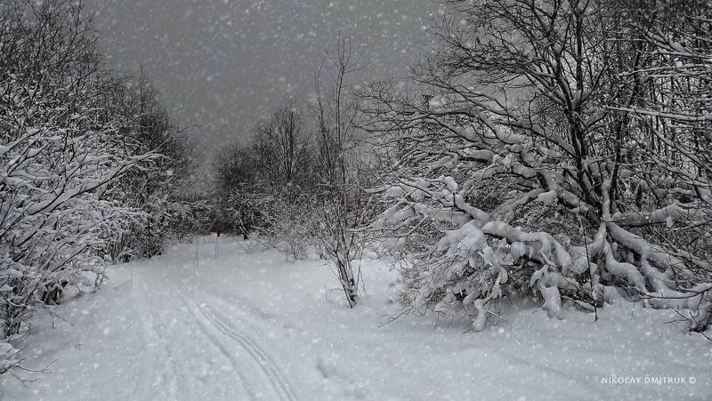 пейзаж снежный четверг фото превью