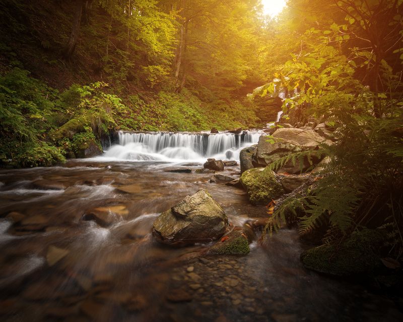 горы, карпаты, водопад, шипот, река, лес, украина Карпаты фото превью