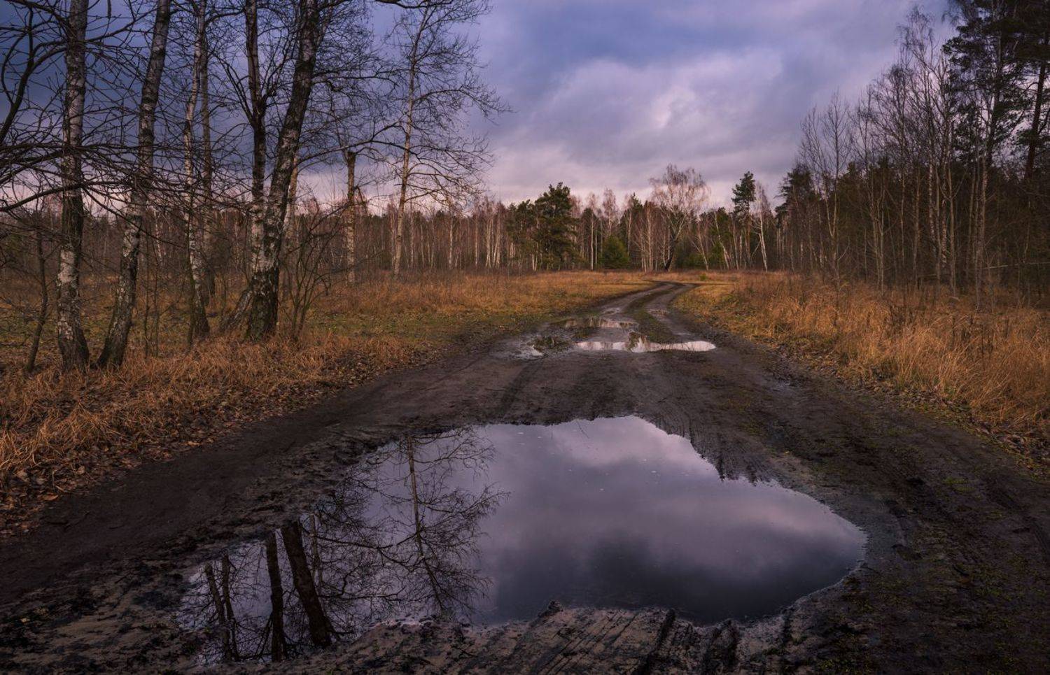 луг зима январь лужи  тучи, Галанзовская Оксана